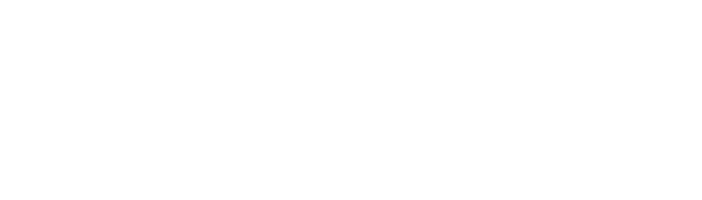 Vejdirektoratet_Logo